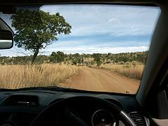 090516_Pilanesberg 160